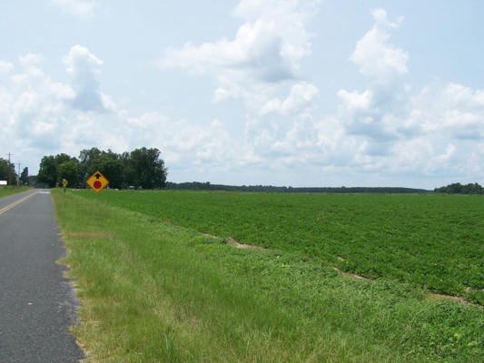 00 OLD HIGHWAY #6, ELLOREE, SC 29047, photo 2 of 7