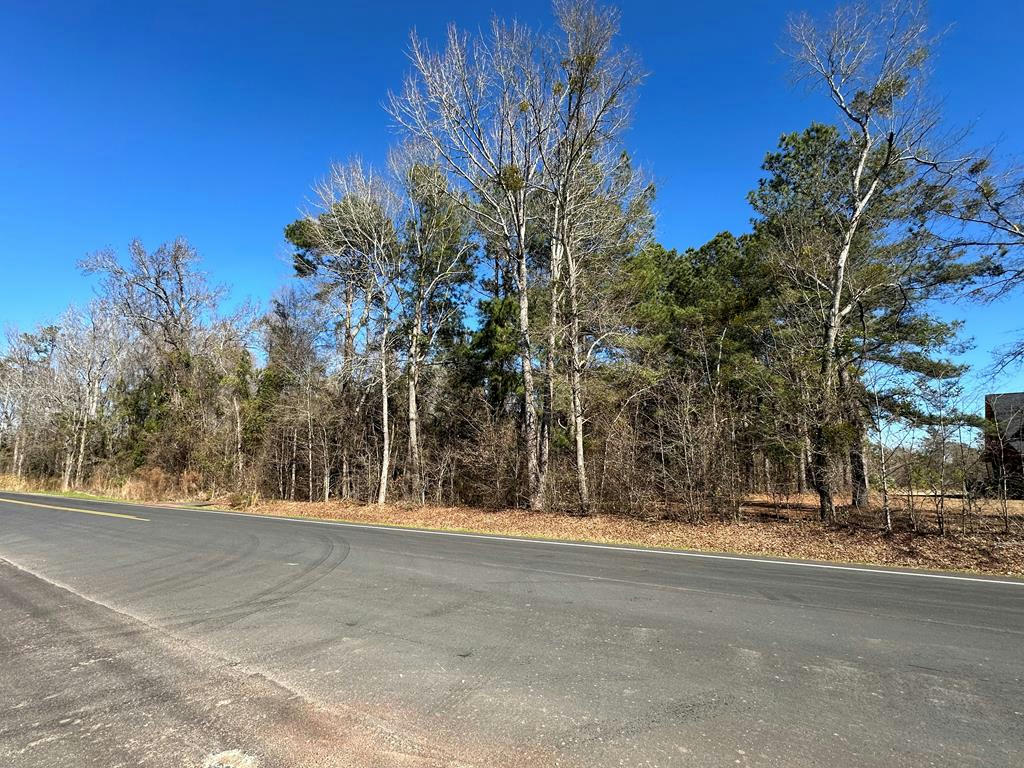 TBD BLOOMVILLE RD, MANNING, SC 29102, photo 1 of 6