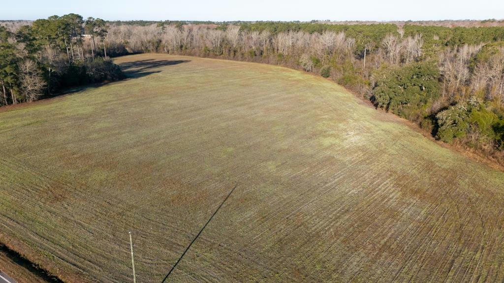 TBD HORSE BRANCH RD, TURBEVILLE, SC 29162, photo 1 of 10