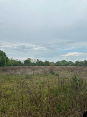 TBD BLOOMVILLE ROAD, MANNING, SC 29102, photo 2 of 6