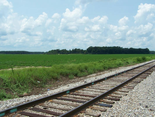 00 OLD HIGHWAY #6, ELLOREE, SC 29047, photo 3 of 7