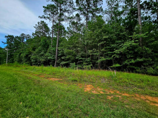 TBD POPLAR CREEK DR (LOBLOLLY), ELLOREE, SC 29047, photo 4 of 17