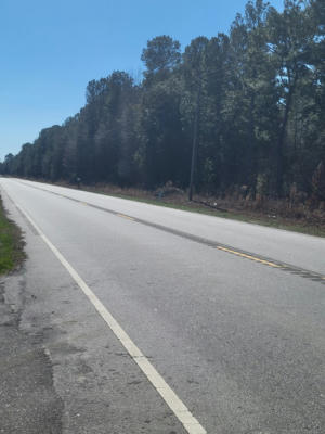 TBD HIGHWAY 15 SOUTH, MANNING, SC 29102, photo 2 of 7