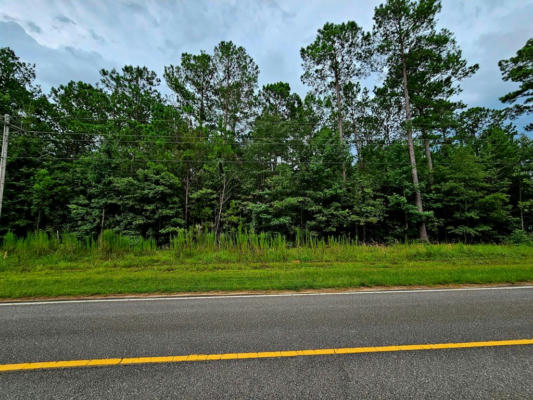 TBD POPLAR CREEK DR (LOBLOLLY), ELLOREE, SC 29047, photo 2 of 17